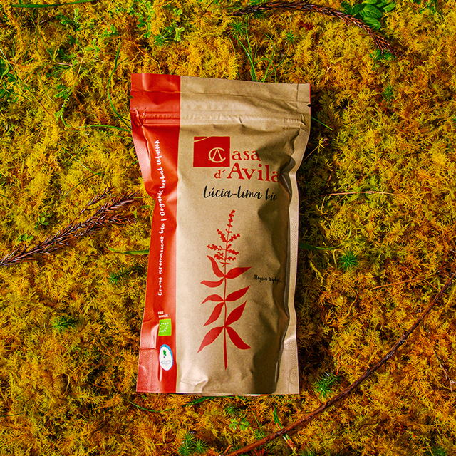 erva aromática lúcia lima