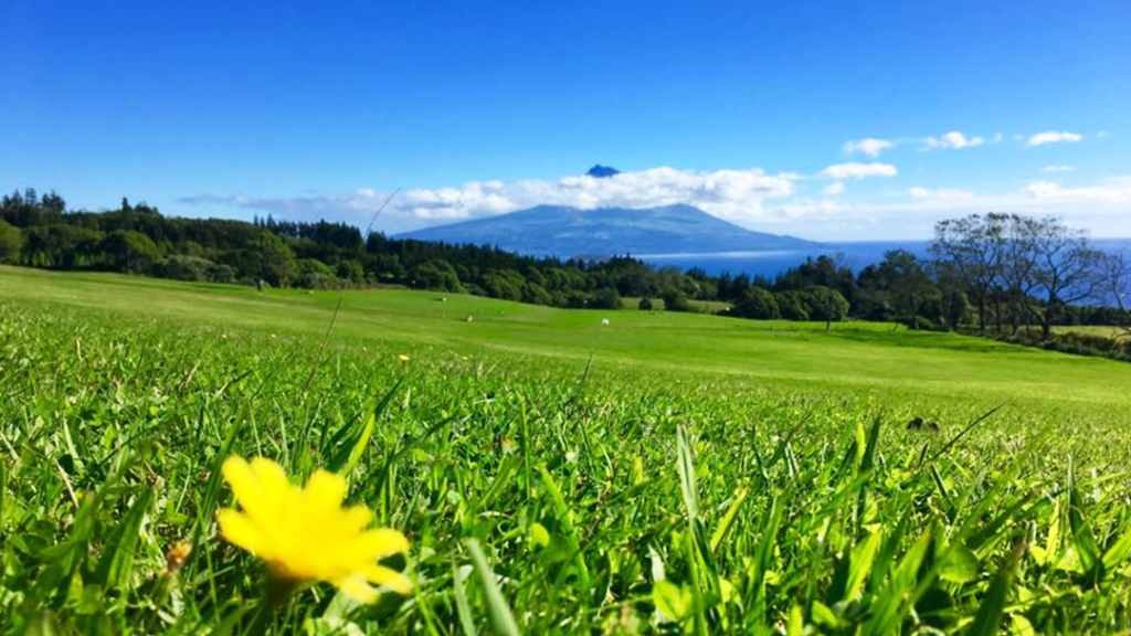 paisagem para a ilha do pico